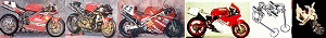 一般街乗りユ-ザ-から本格的にレ-ス参戦するDUCATIstの為の DUCATI専門オンラインカスタムパ-ツショップ
