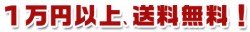 合計１万円以上送料無料！